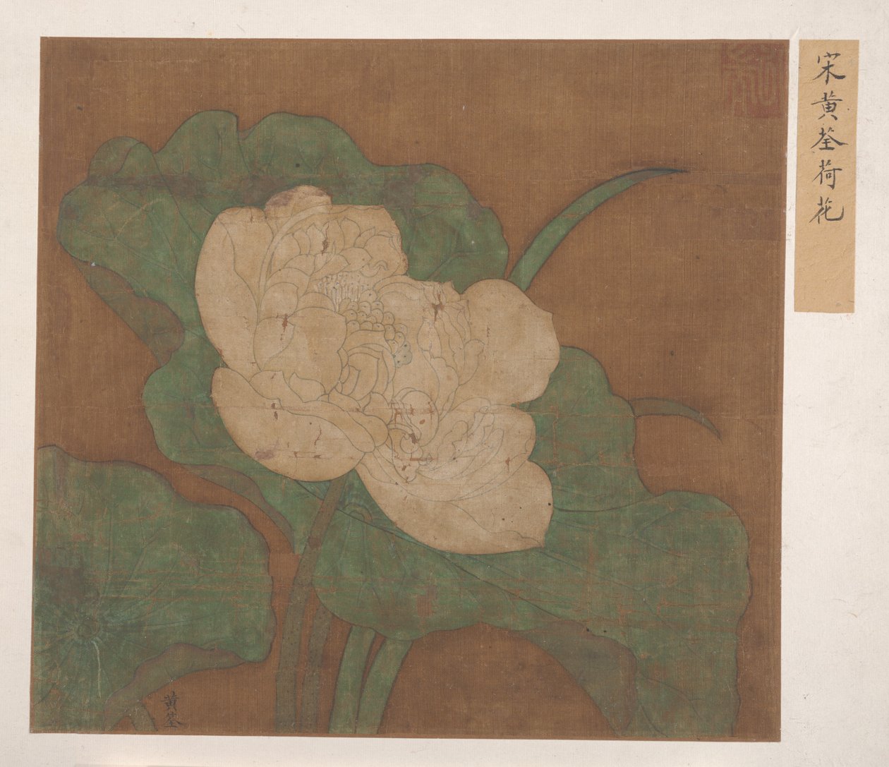 Lotus (Albumblatt) von Ming Dynasty Chinese School