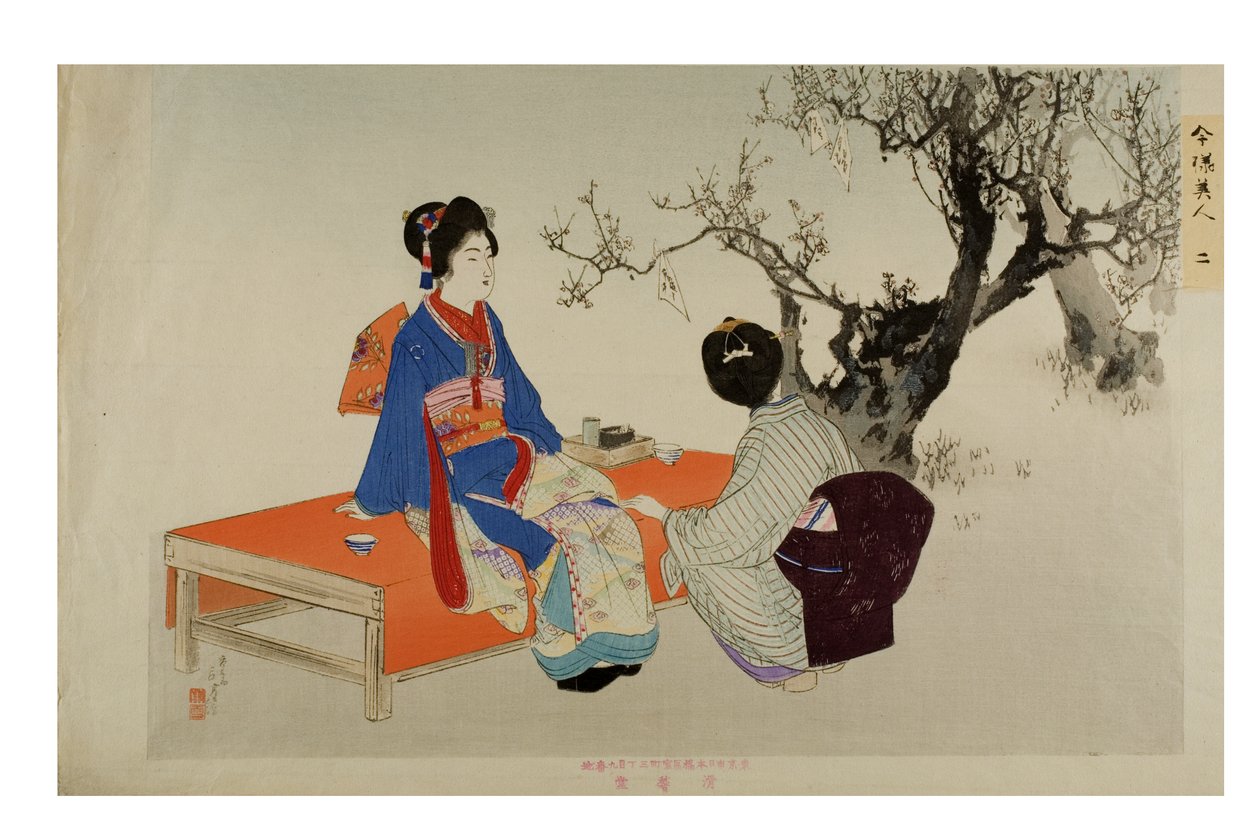 Pflaumenblüten betrachten. Aus der Serie Moderne Schönheiten, ca. 1897-1899 von Mizuno Toshikata