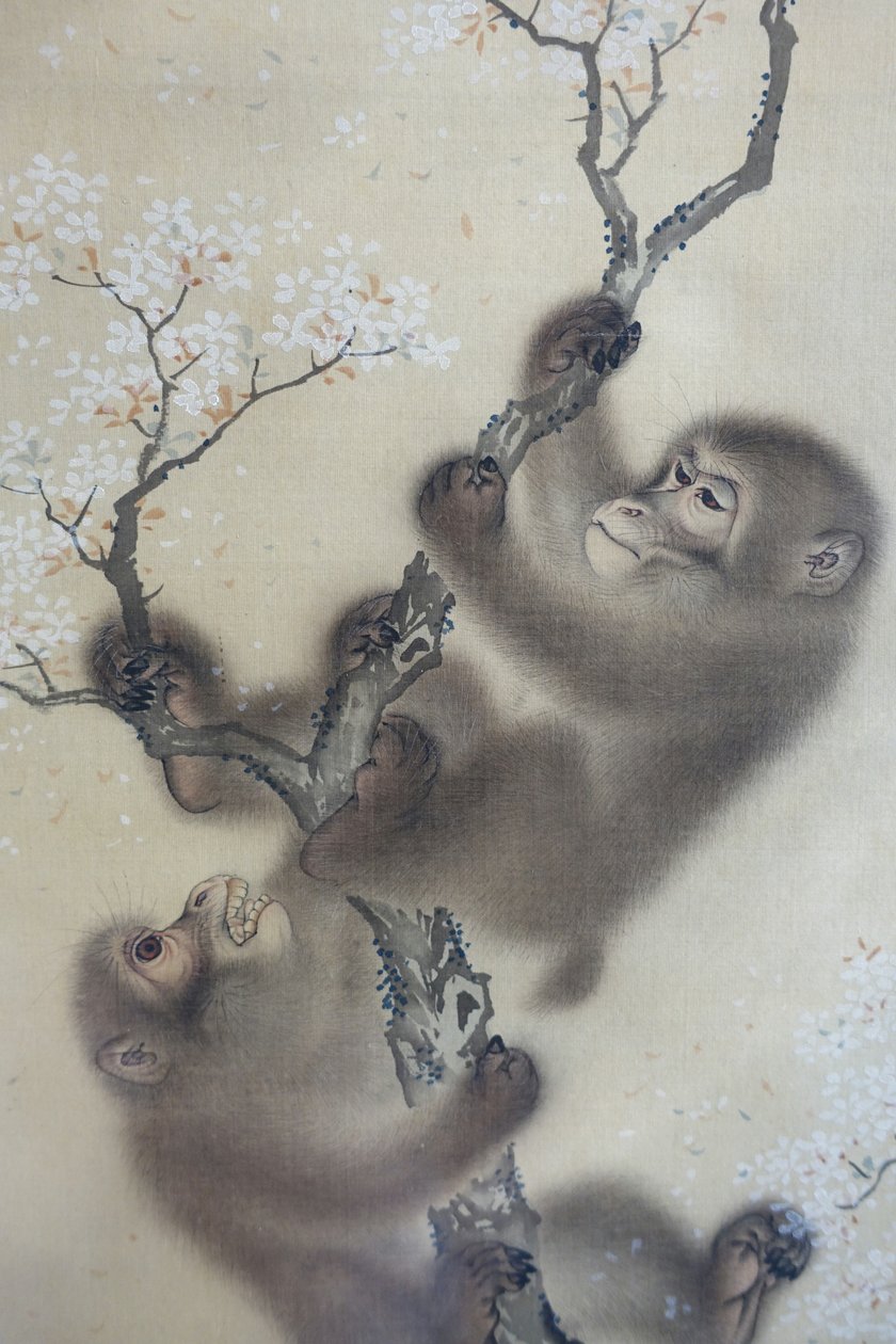 Affen in einem blühenden Kirschbaum, 1 von 2, Mori Sosen, Japan, Edo-Periode, frühes 19. Jahrhundert, Tinte und Farbe auf Seide - Arthur M. Sackler Museum, Harvard University von Mori Sosen