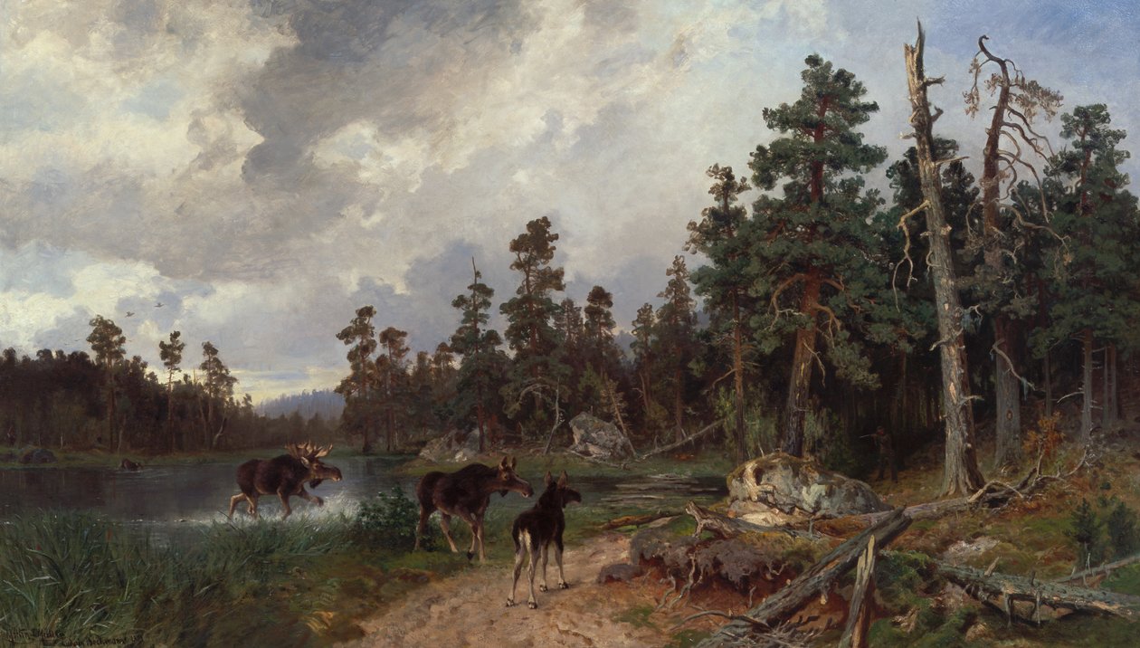 Elche und Jäger im Kiefernwald von Morten Muller