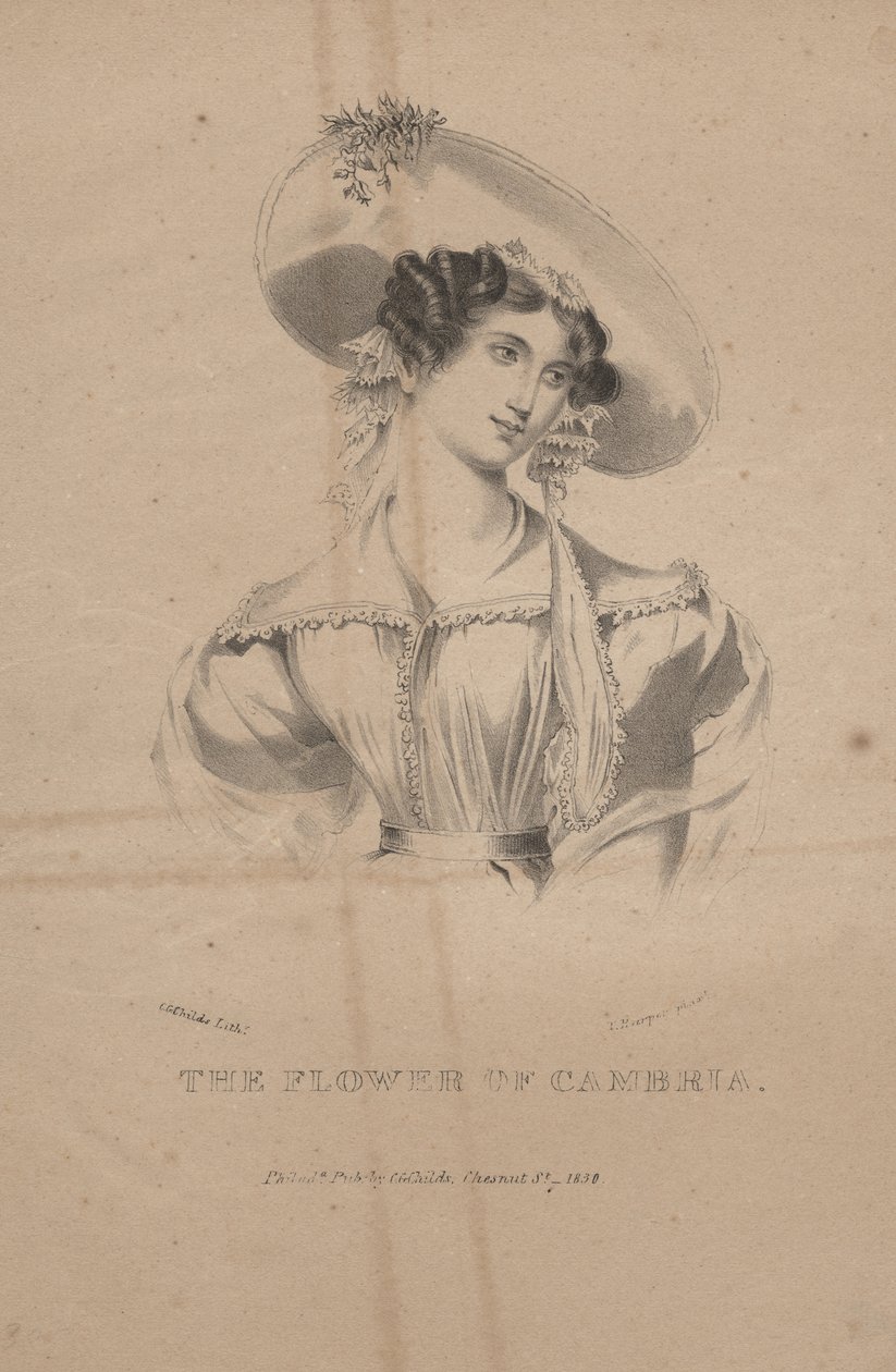 Die Blume von Cambria, Lithographie von C.G. Childs, 1830 von Moses Swett