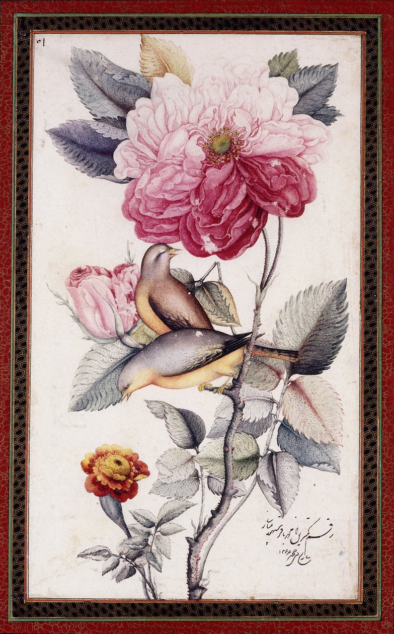 Gul-o Bulbul, ca. 1849-50 von Muhammad Baqir