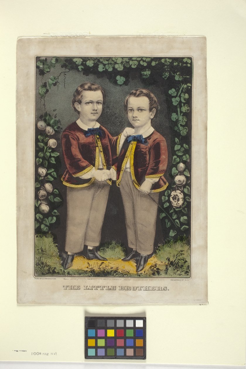 Kleine Brüder von N. and Ives J.M. (1824 95) Currier