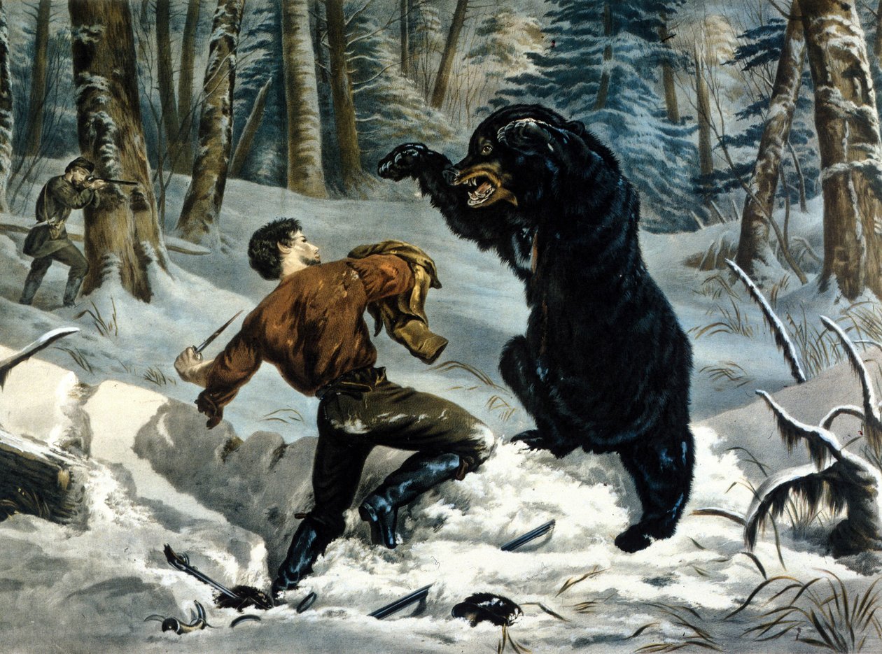 Das Leben der Fallensteller (Berufsjäger) in Kanada: Ein Jäger wird von einem Grizzlybären angegriffen. Illustration von Yves und Currier. von Currier and Ives