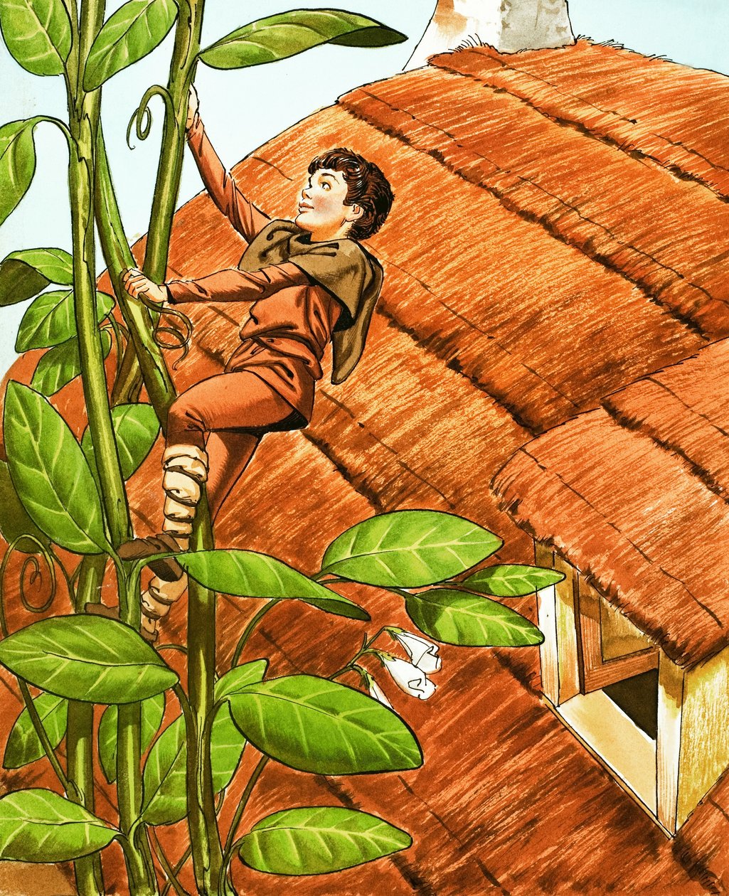 Hans und die Bohnenranke von Nadir Quinto
