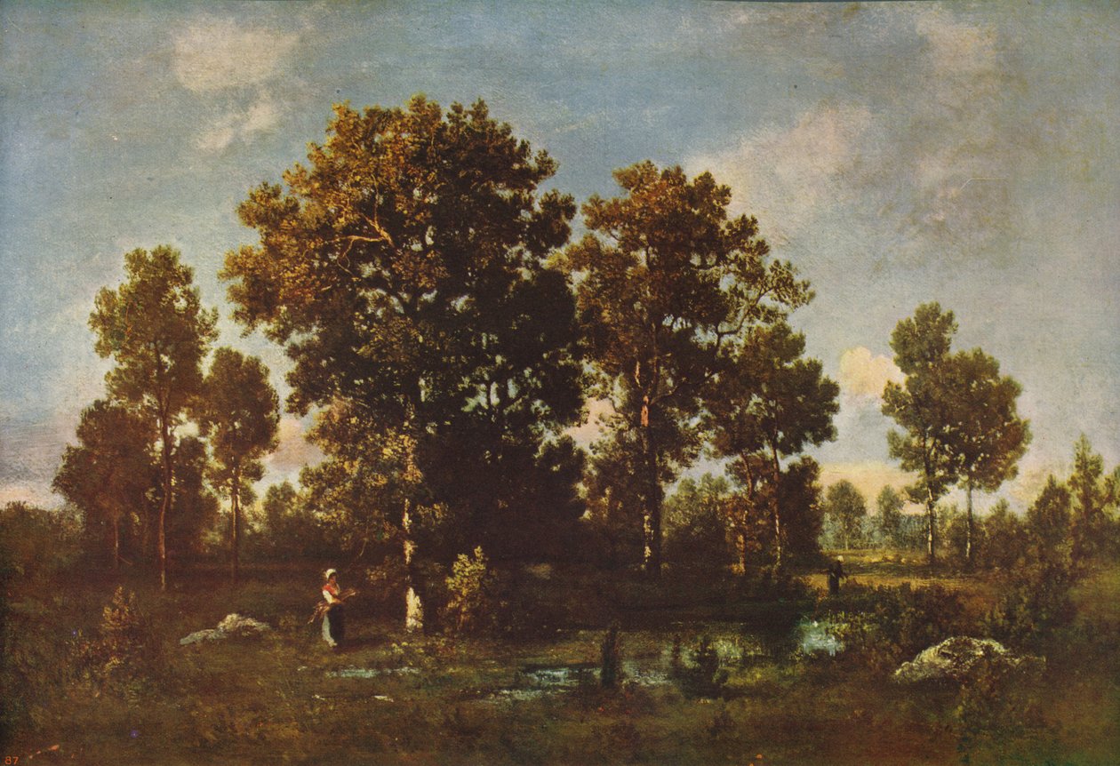 Sonnige Tage im Wald, ca. 1850, ca. 1915 von Narcisse Virgile Diaz de la Peña