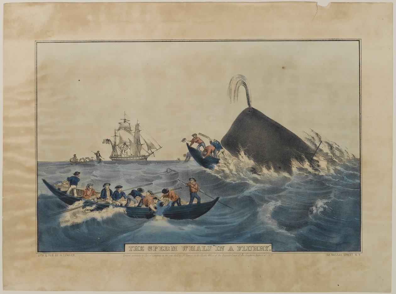 Der Pottwal in Aufruhr, veröffentlicht von N. Currier, 1852 von Nathaniel Currier
