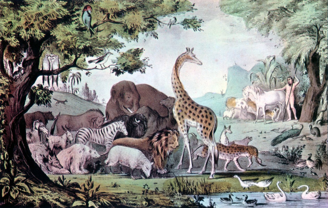 Adam benennt die Kreaturen, 1847 von Nathaniel Currier