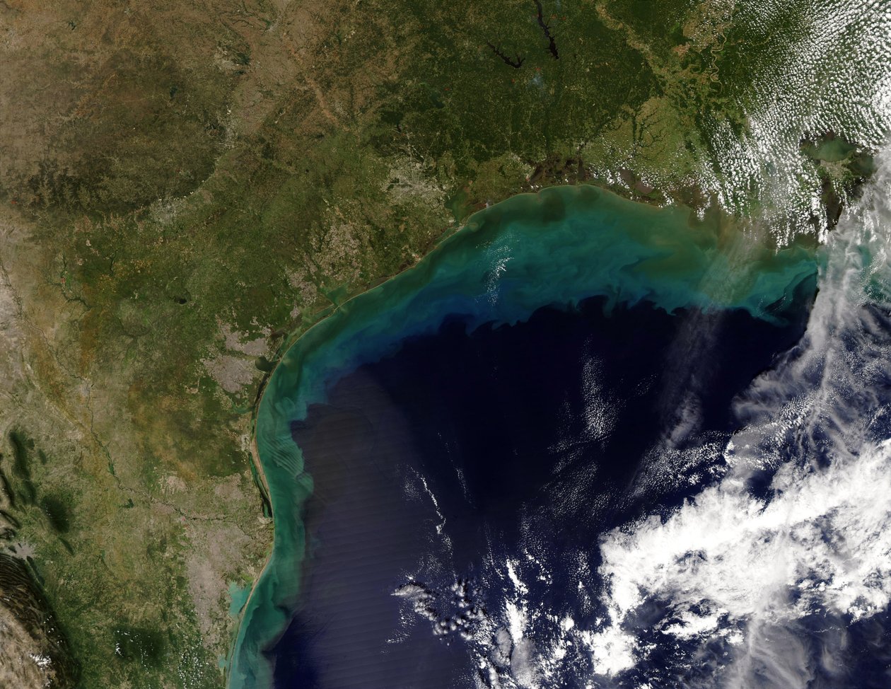 Satellitenansicht der Golfküste, USA - Tamaulipas, Mexiko, bis New Orleans, Louisiana. Wissenschaft Geologie Ozeanographie von National Aeronautics and Space Administration National Aeronautics and Space Administration