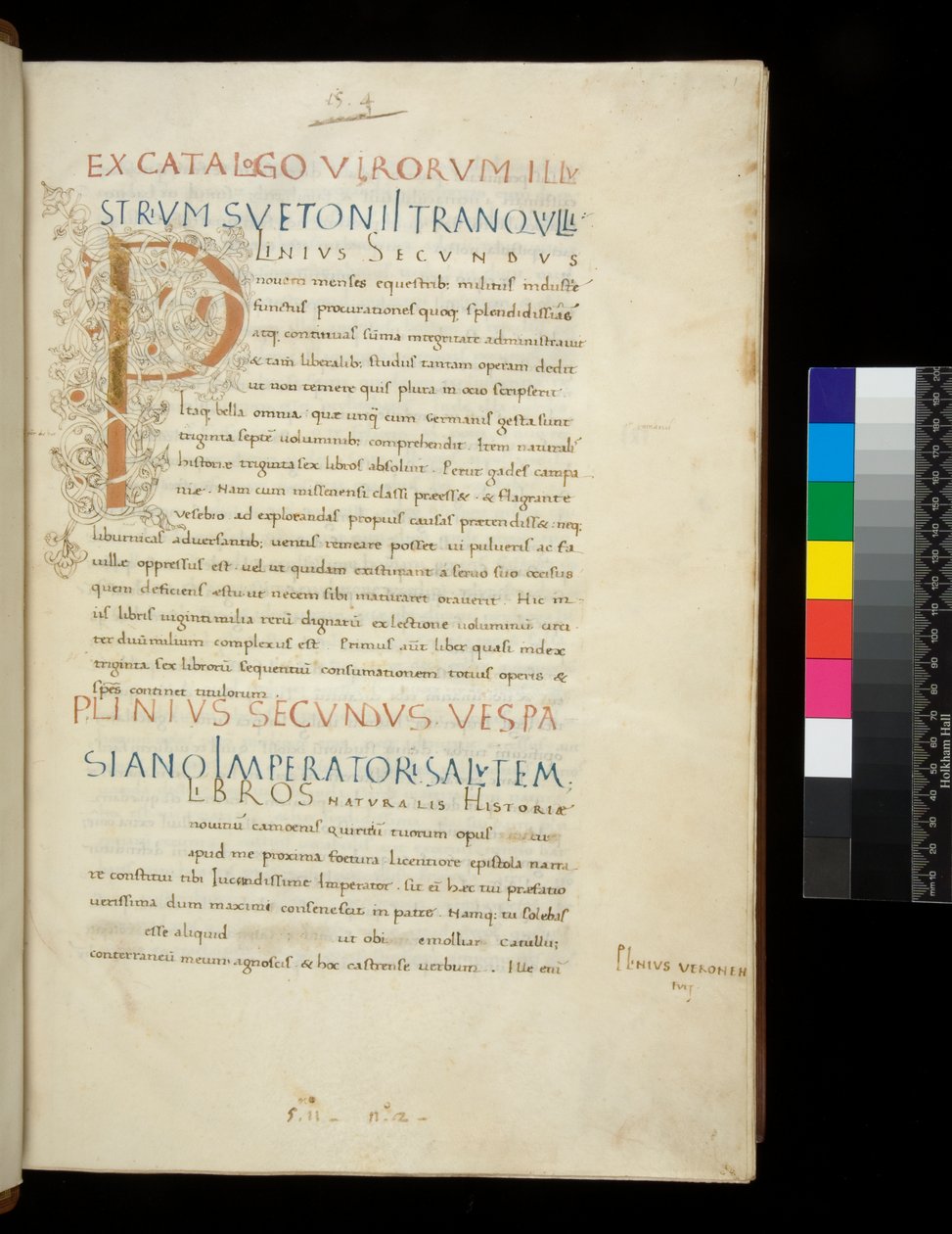 Ms 394.1. Plinius der Ältere, Naturalis Historia, f.1r. Illuminierte Initiale [P] mit weißem Rankenstammdekor (unvollendet), Neapel, Mitte des 15. Jahrhunderts, ca. 1442 (Pergament) von Neapolitan School