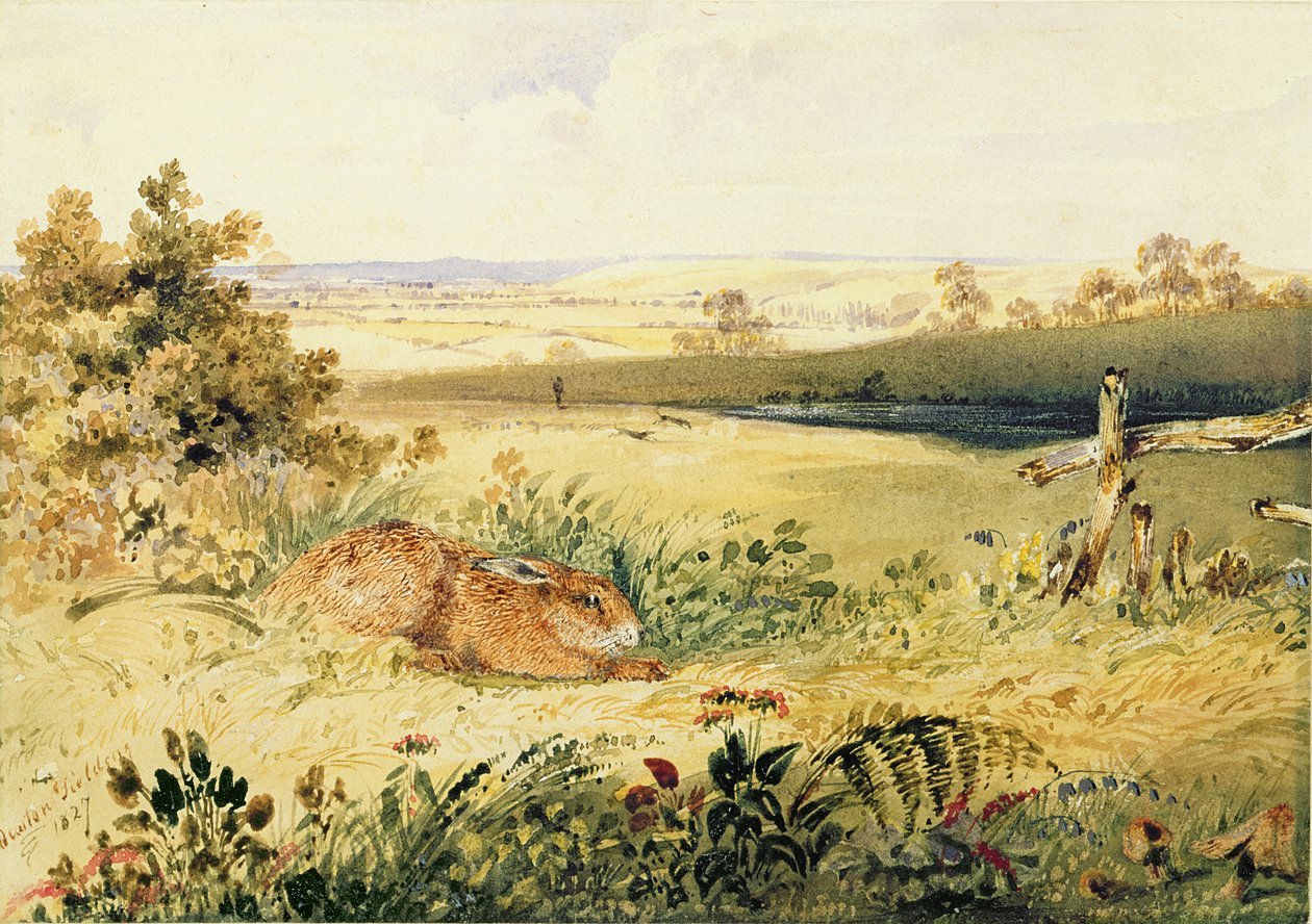 Hase in einer Landschaft, 1827 von Newton Fielding