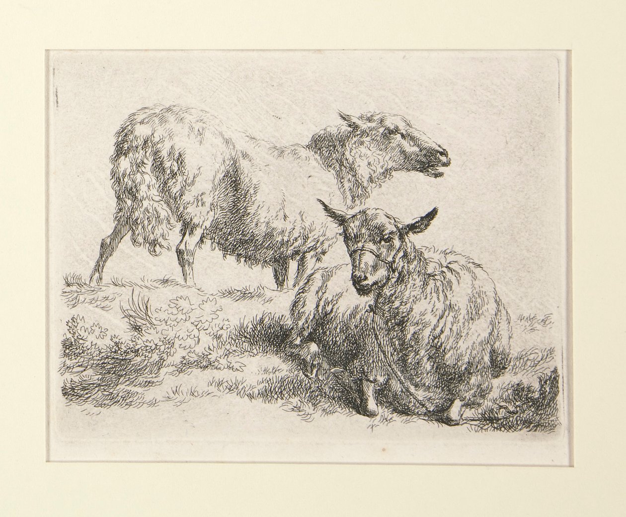 4 Radierungen aus von Nicolaes Berchem