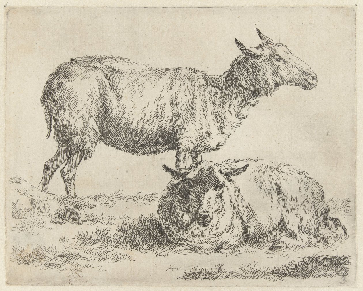 Stehendes und liegendes Schaf (Serientitel: Schafe) von Nicolaes Pietersz Berchem