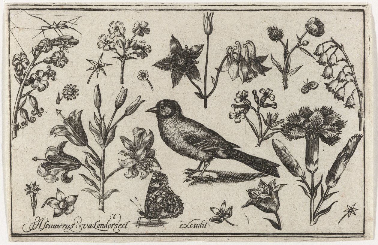 Blumen, Schmetterling und ein Vogel von Nicolaes de Bruyn (possibly)