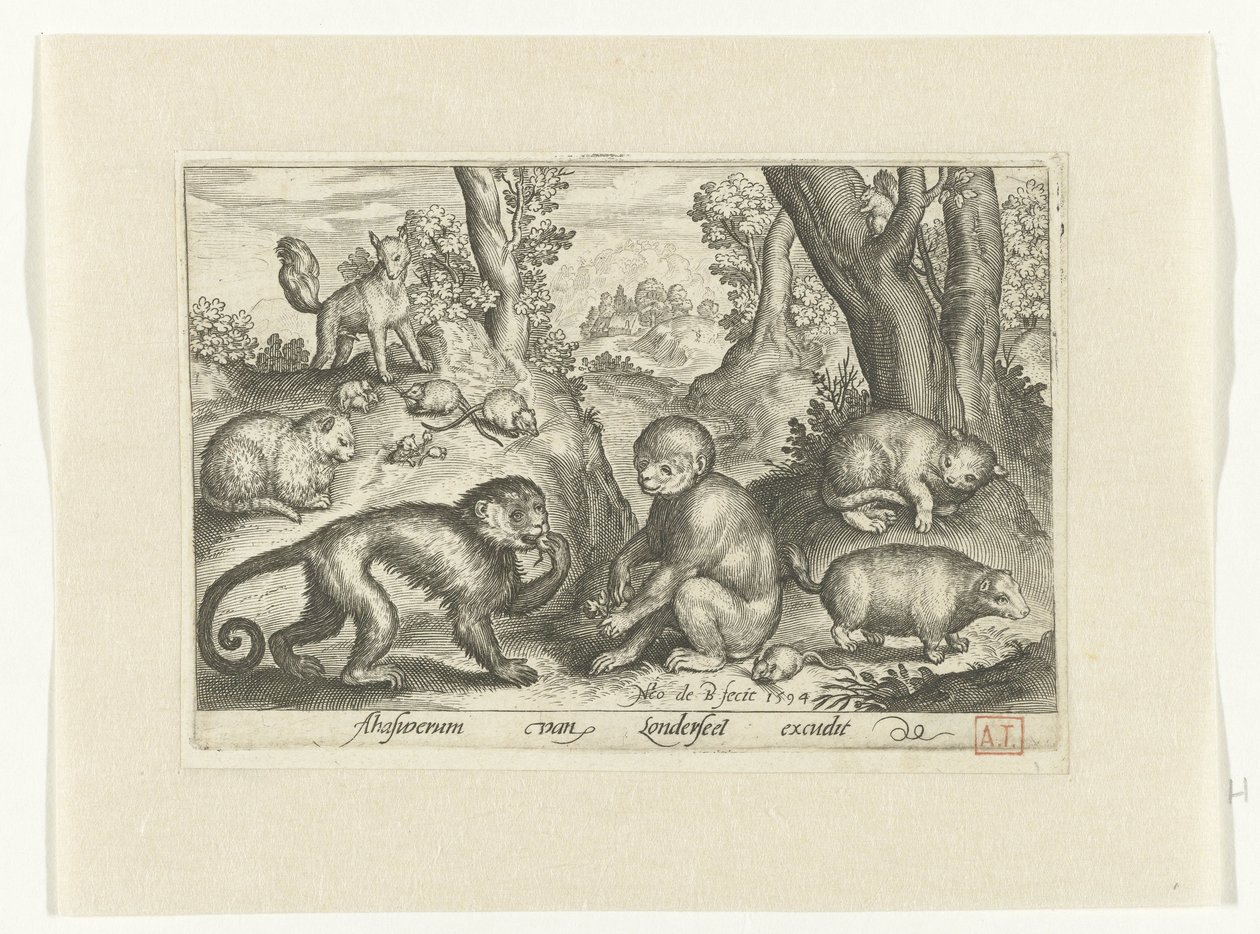Affen, Katzen und Mäuse von Nicolaes de Bruyn