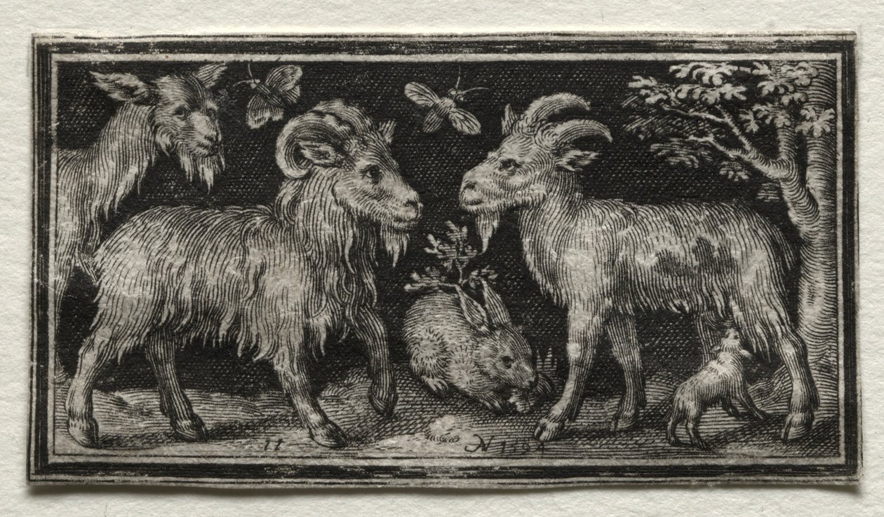 Ziegen und Hase, 1594 von Nicolaes de Bruyn