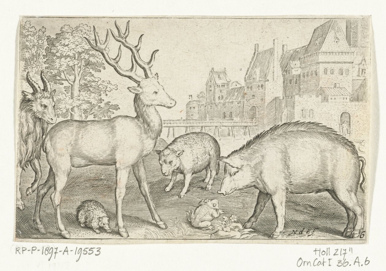 Hirsch, Igel, Schaf, Frosch und Schwein von Nicolaes de Bruyn