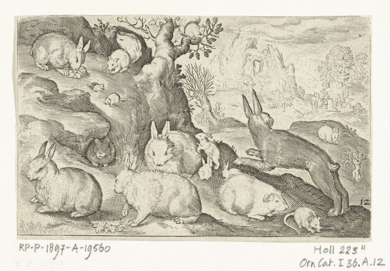 Kaninchen, Eichhörnchen, Meerschweinchen und Maus von Nicolaes de Bruyn