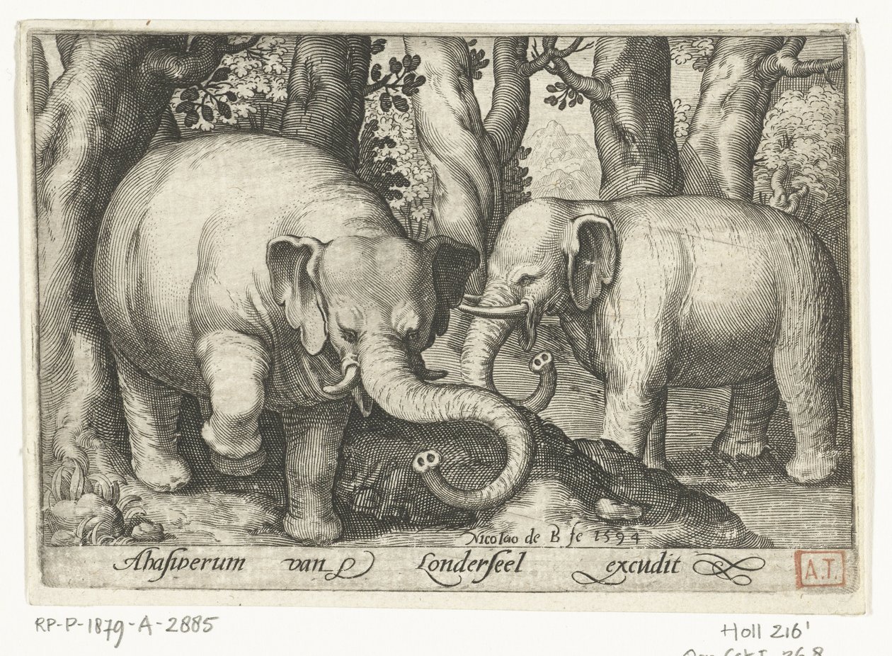 Zwei Elefanten (Vierfüßige Tiere, Tiere in Landschaften) von Nicolaes de Bruyn