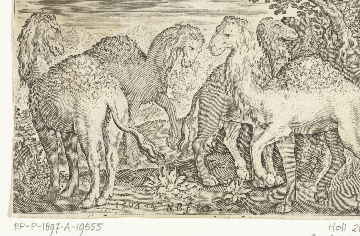 Vier Dromedare (Animalivm qvadrvpedvm, Tiere in Landschaften) von Nicolaes de Bruyn