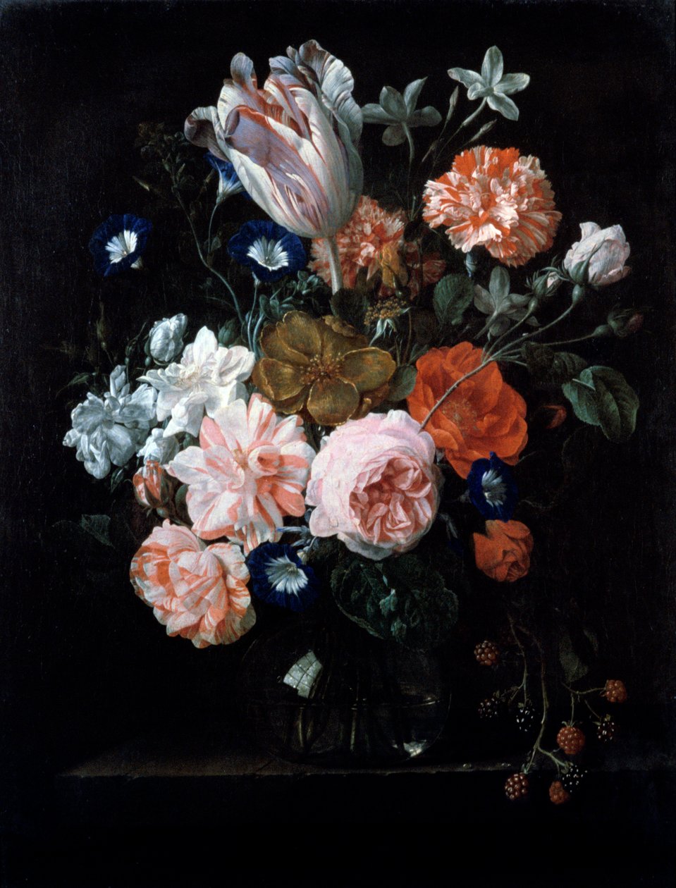 Eine Tulpe, Nelken und Prunkwinde in einer Glasvase, 17. Jahrhundert von Nicolaes van Veerendael