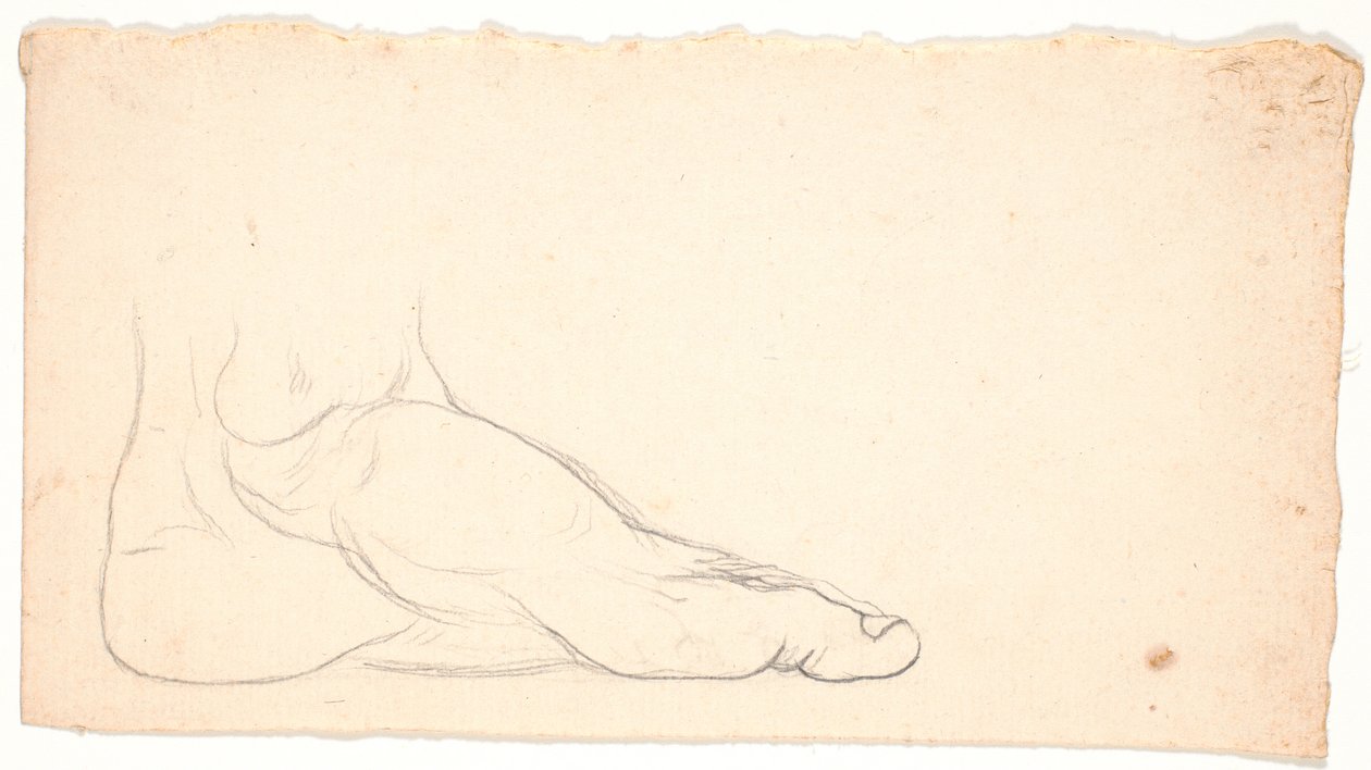 Skizze eines Fußes von der Seite gesehen. Ferse links. von Nicolai Abildgaard