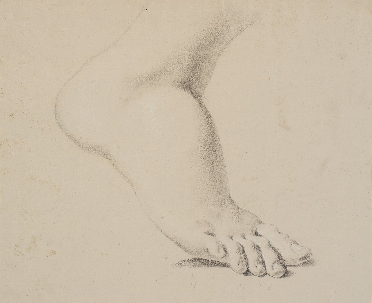 Studie eines Fußes von Nicolai Abildgaard