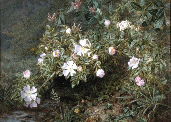 Studie von Hundsrosen, um 1900 von Niels Pieter Rasmussen