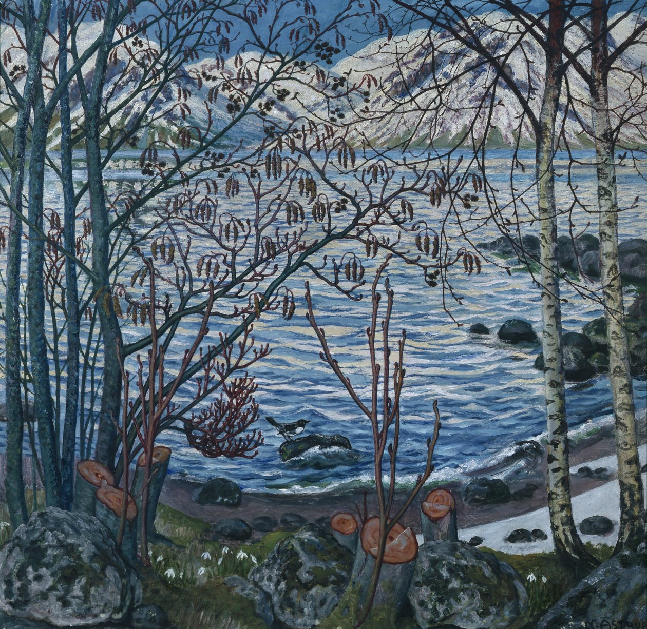 Vogel auf Felsen von Nikolai Astrup