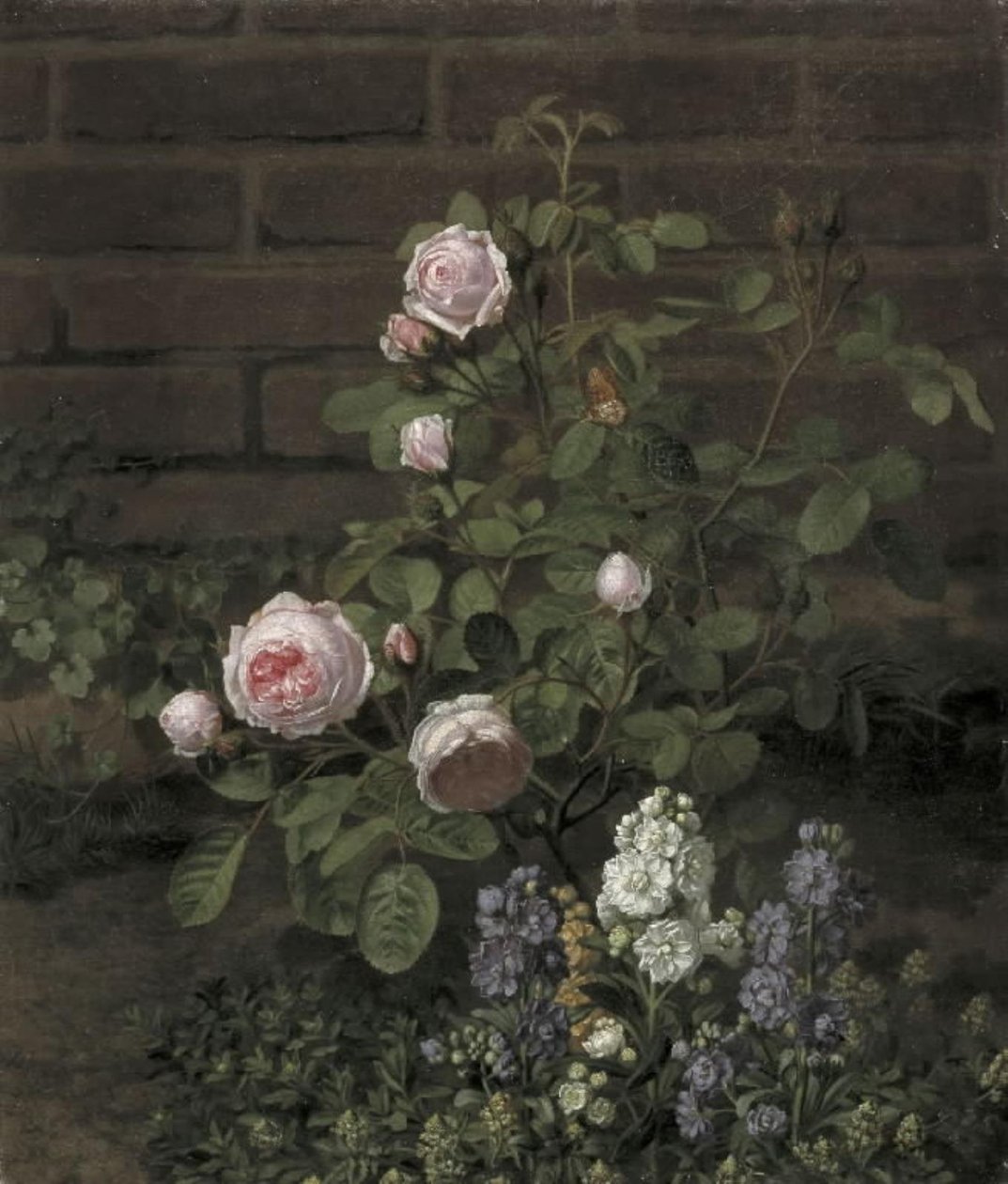 Ein Moosrosenbaum umgeben von Sommerblumen von O.D. Ottesen