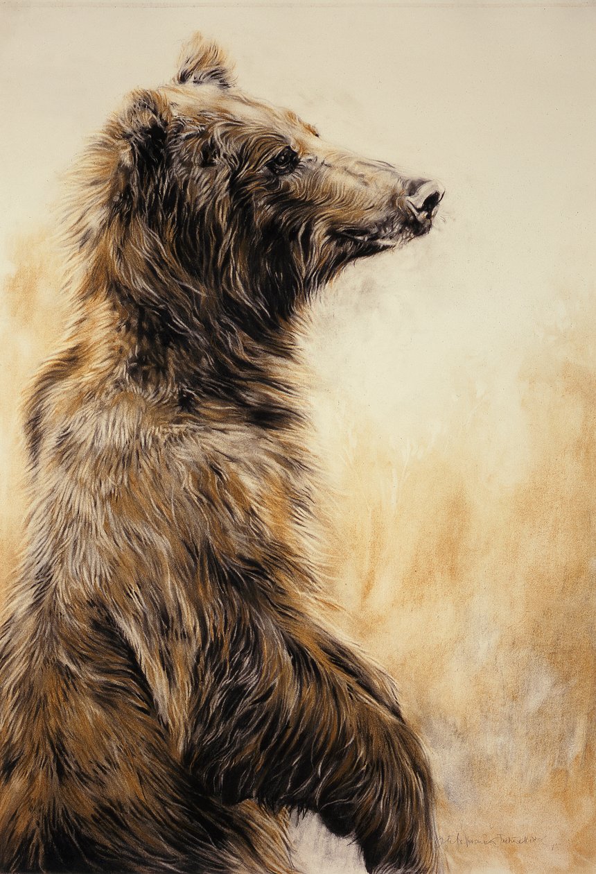 Grizzlybär 2, 2002 von Odile Kidd