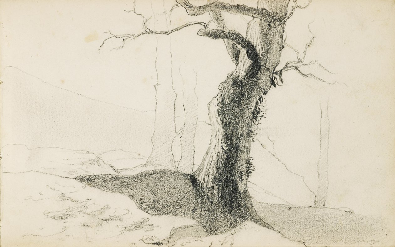 Zeichnung aus einem Album mit dem Titel "Das Baskenland", 1862-63 von Odilon Redon
