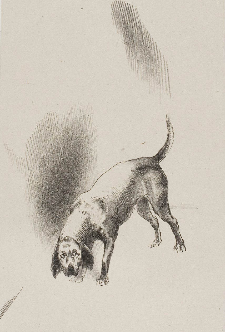 Er [Der Hund des Erzählers] hielt seine Augen mit einem so seltsamen Blick auf mich gerichtet, Platte 3 von 6 von Odilon Redon