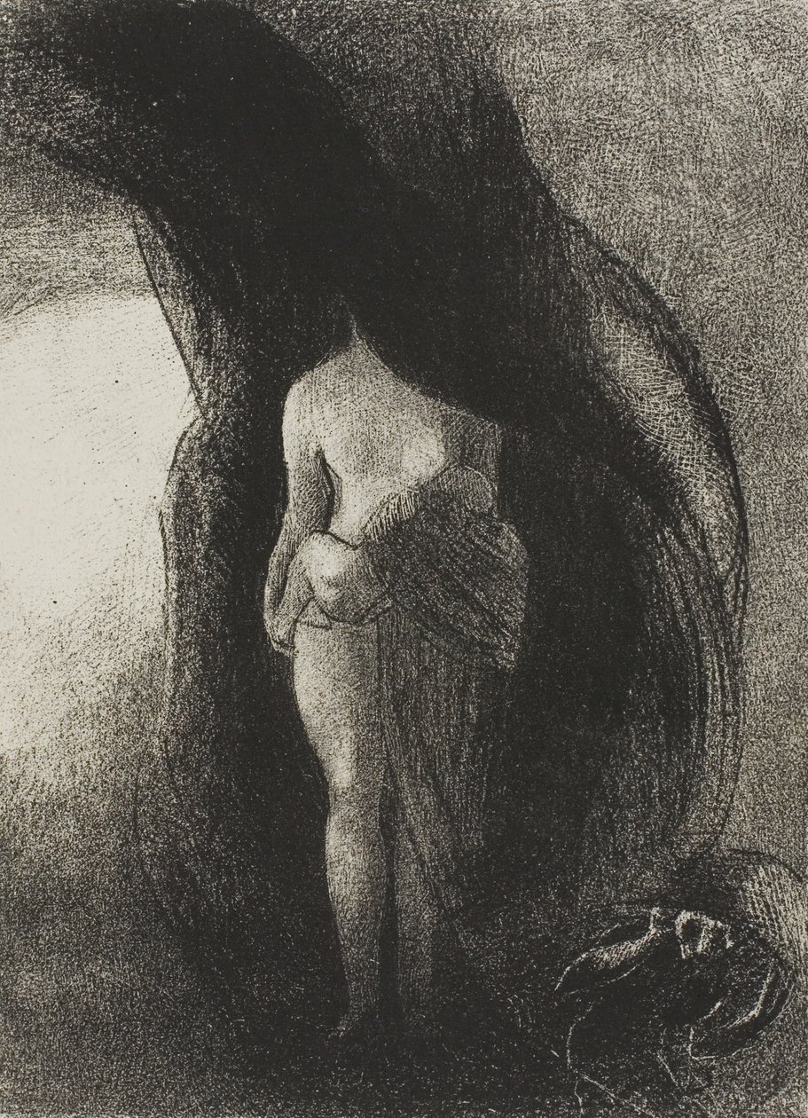 Ich bin immer noch die große Isis! Niemand hat jemals meinen Schleier gelüftet! Mein Nachkomme ist die Sonne!, Platte 16 von 24 von Odilon Redon