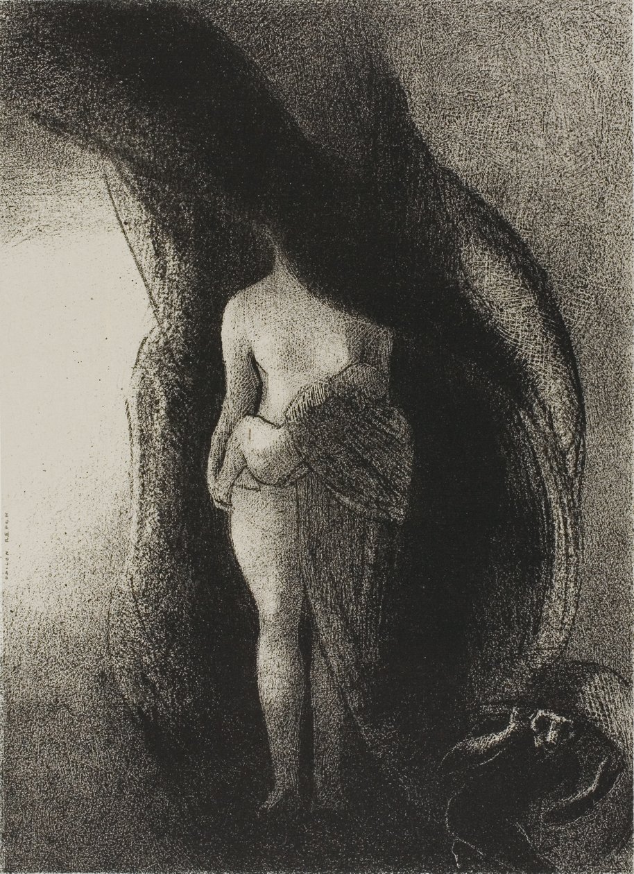 Ich bin immer noch die große Isis! Niemand hat jemals meinen Schleier gelüftet!, Platte 16 von 24 von Odilon Redon
