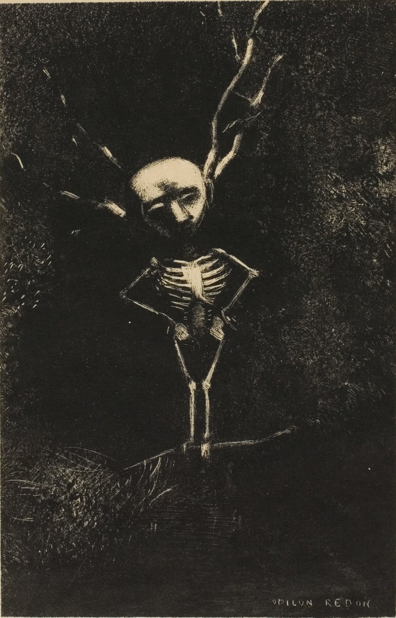 Im Labyrinth der Äste erschien die bleiche Gestalt, Platte 2 von 7 von Odilon Redon