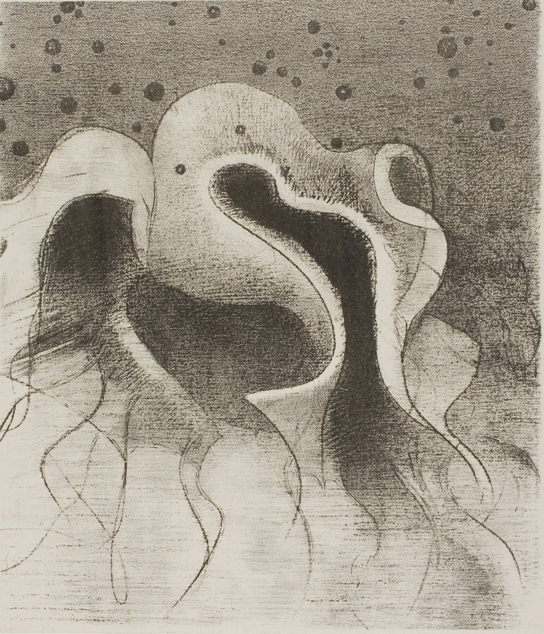 Die Tiere des Meeres, rund wie Lederflaschen, Platte 22 von 24 von Odilon Redon