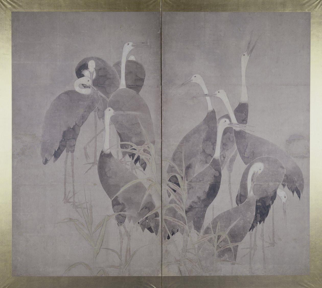 Elf weibliche Kraniche im trockenen Schilfbett, ca. 1700-50 von Ogata Korin