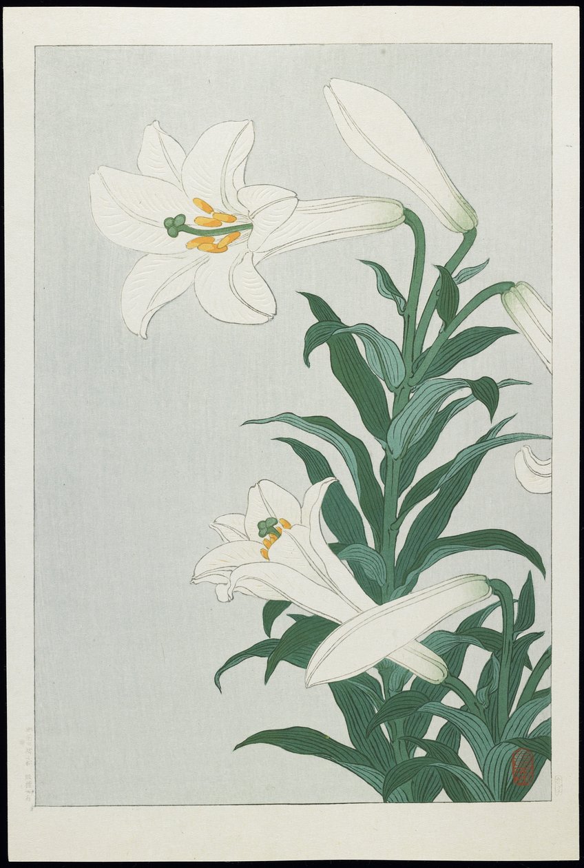 Weiße Lilie, 1930er Jahre von Ohara Koson