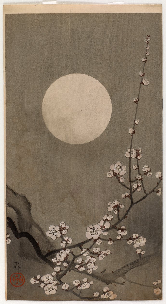 Blühender Pflaumenbaum und Mond (Farbholzschnitt) von Ohara Koson