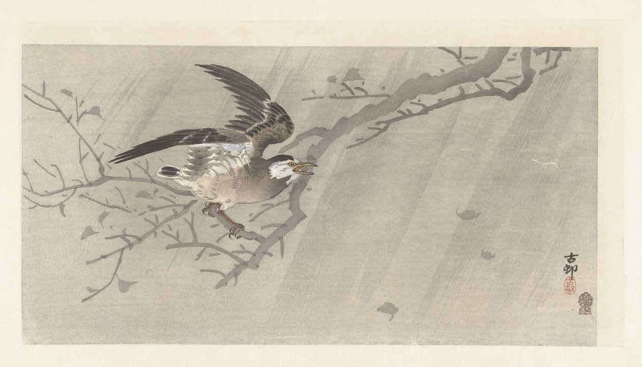 Grauglanzstar im Sturm von Ohara Koson