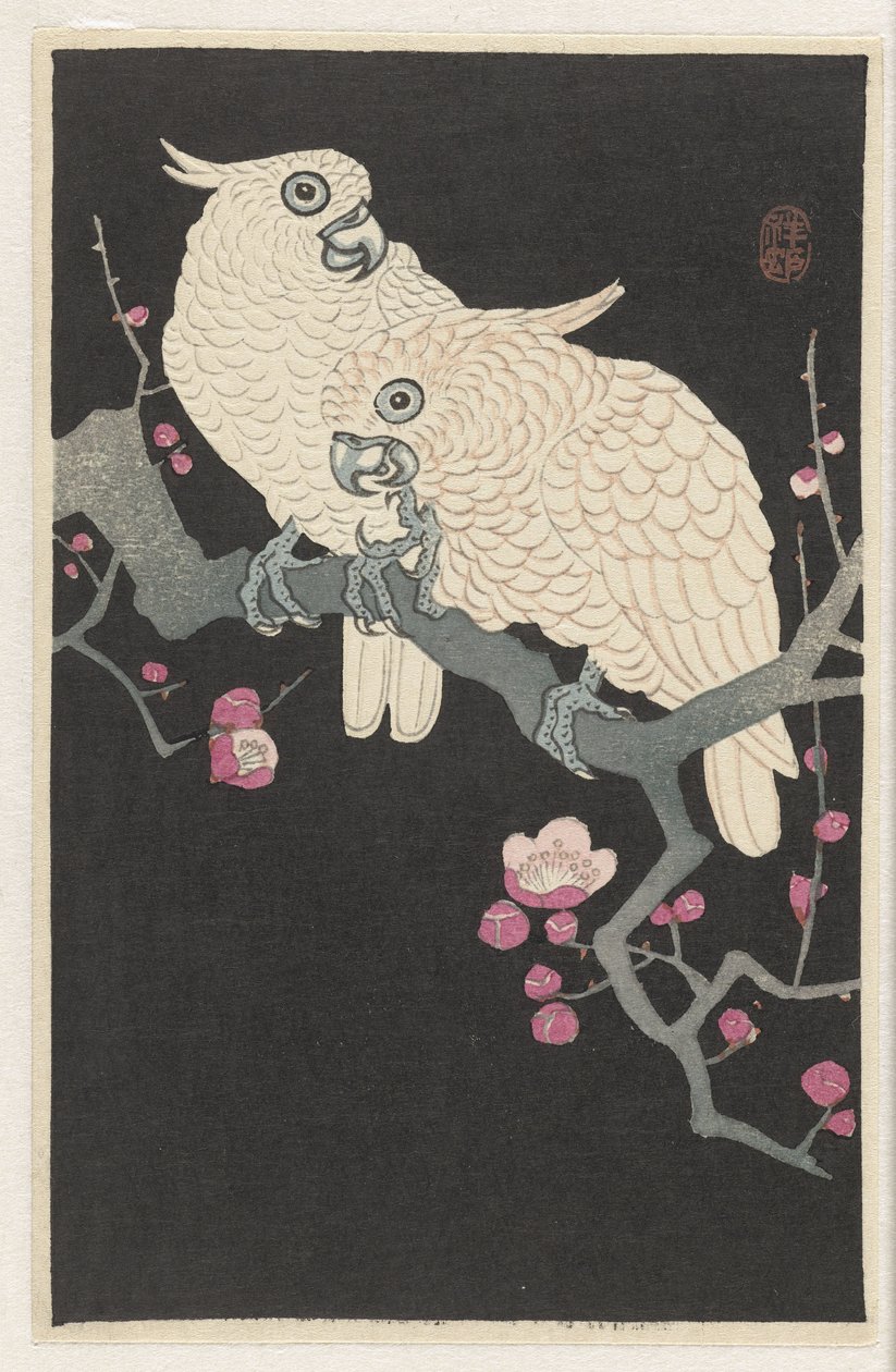 Zwei Kakadus und Pflaumenblüte von Ohara Koson