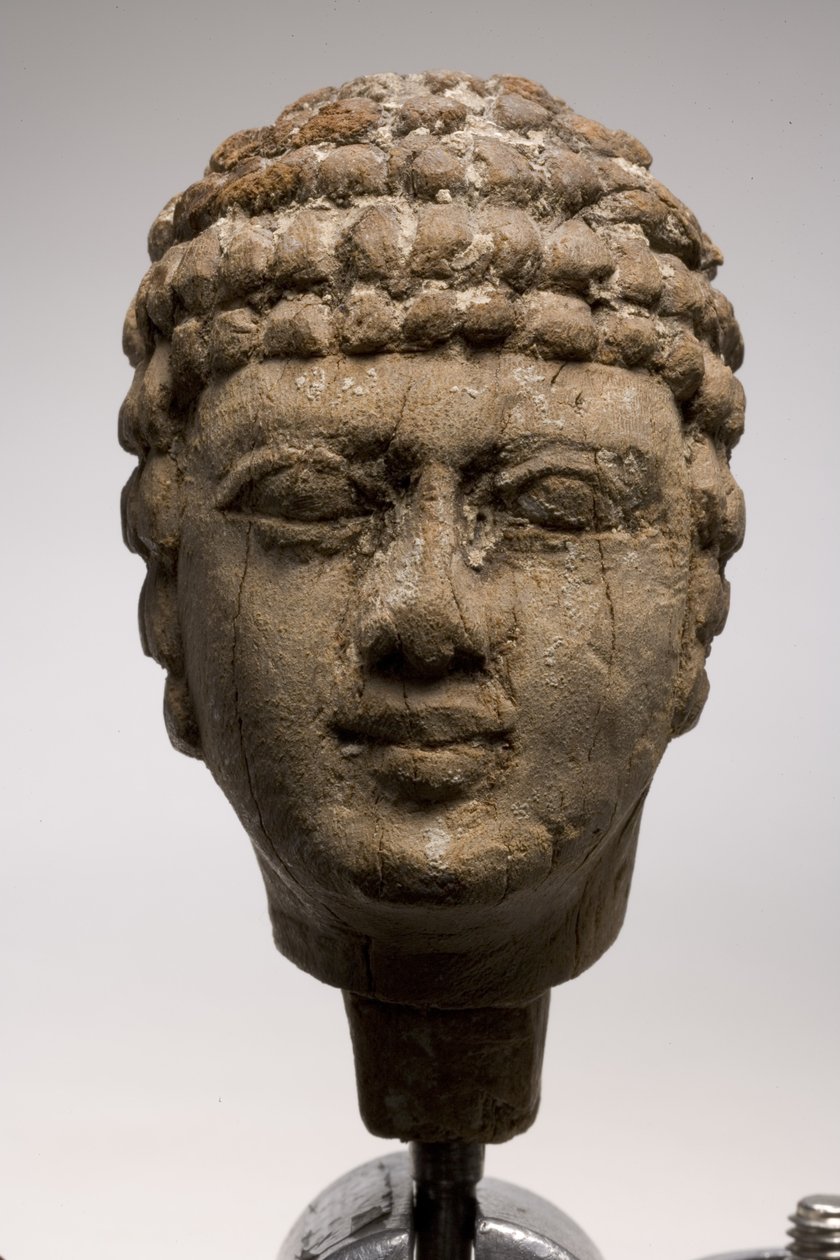 Kopf eines Mannes (Holz) von Old Kingdom Egyptian