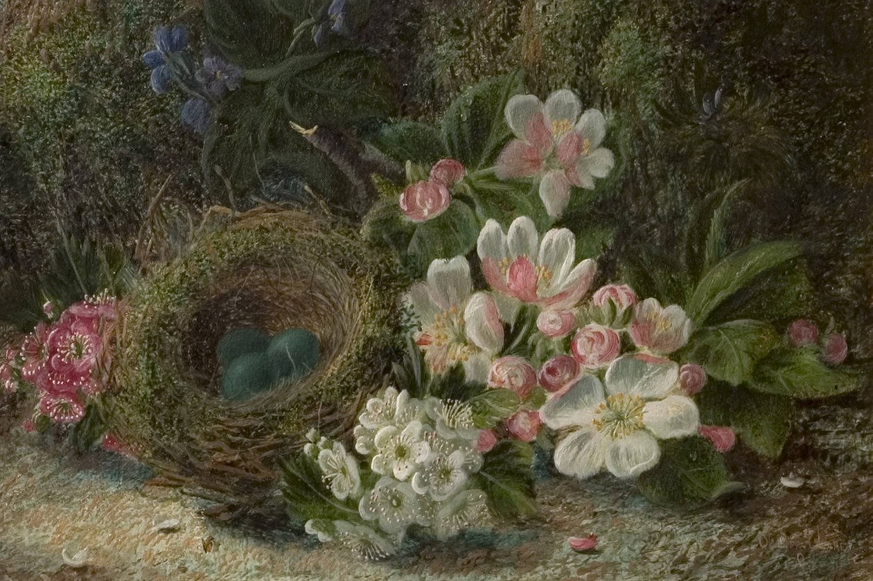 Vogelnest mit Apfel- und Weißdornblüten, 1893 von Oliver Clare