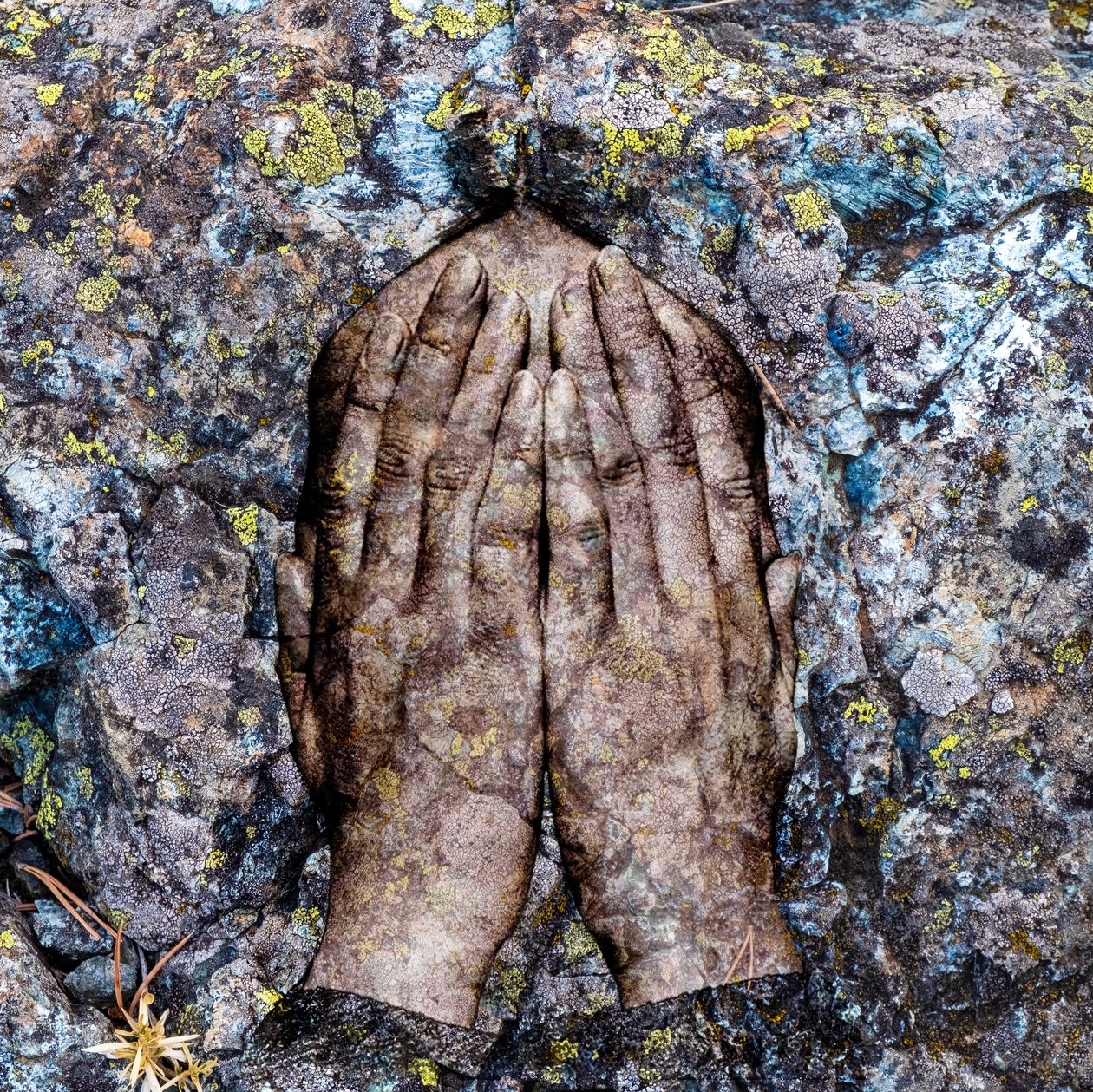 Licheni, 2024 von Olivia Gozzano