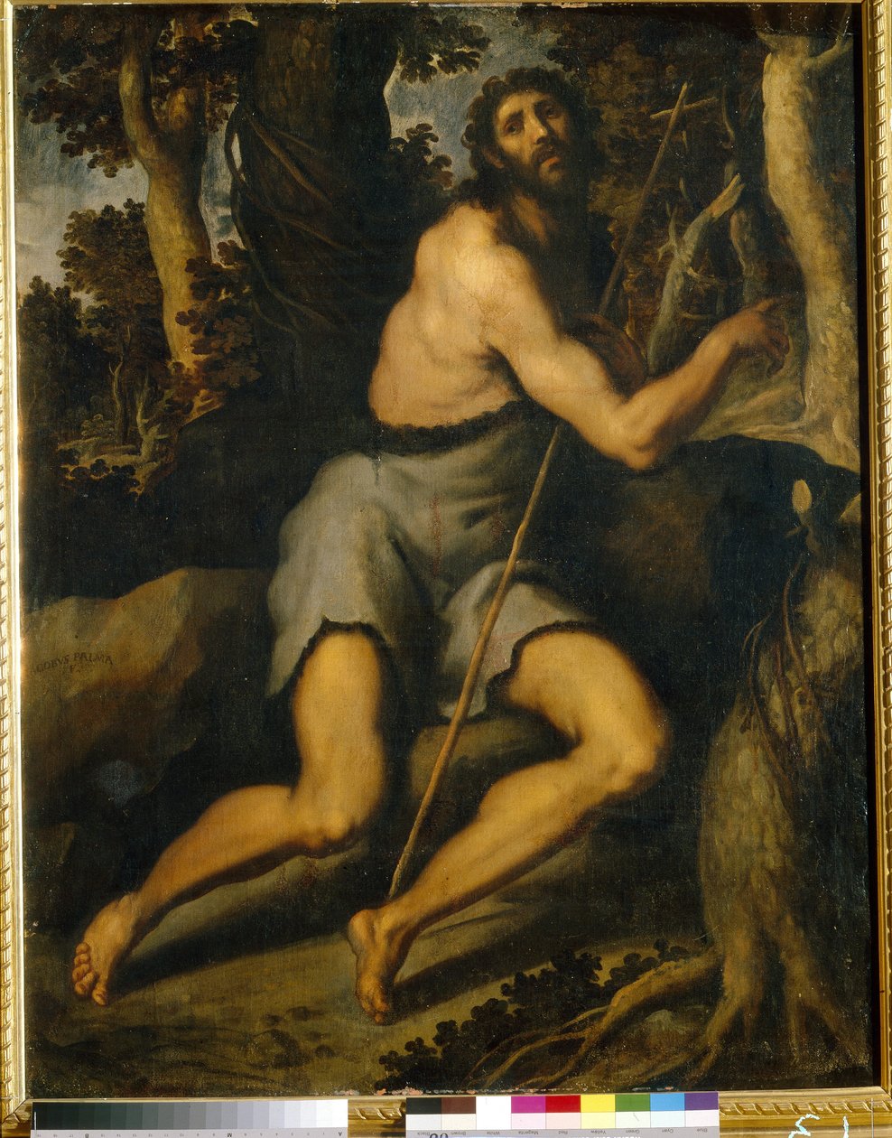Johannes der Täufer in der Wüste von Palma Il  Giovane