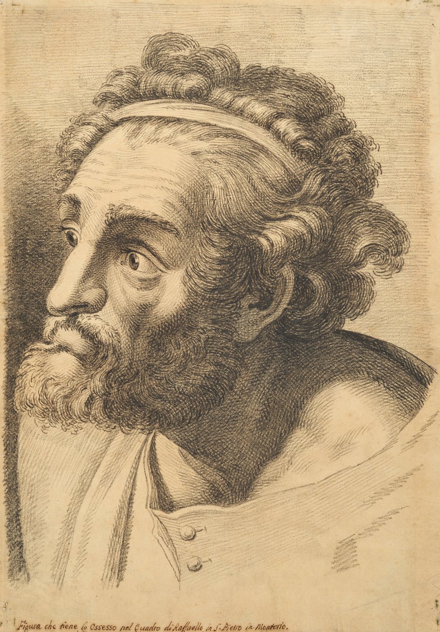 Kopf eines bärtigen Mannes, aus 42 Studien von Köpfen nach Raphael von Paolo Fidanza
