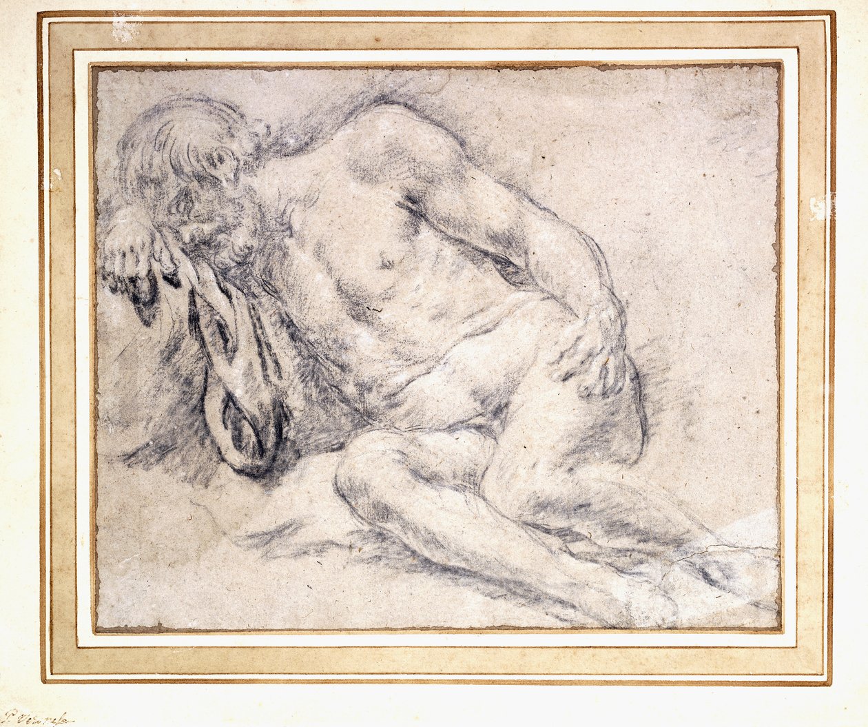 Ein schlafender bärtiger Mann, der auf seinem Arm ruht von Paris Bordone