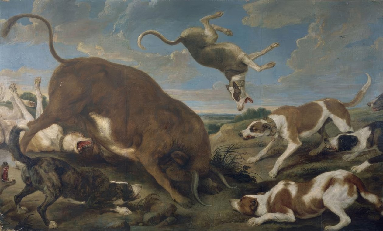 Stier von Hunden angegriffen – 17. Jahrhundert – Barockflämisch von Paul De Vos