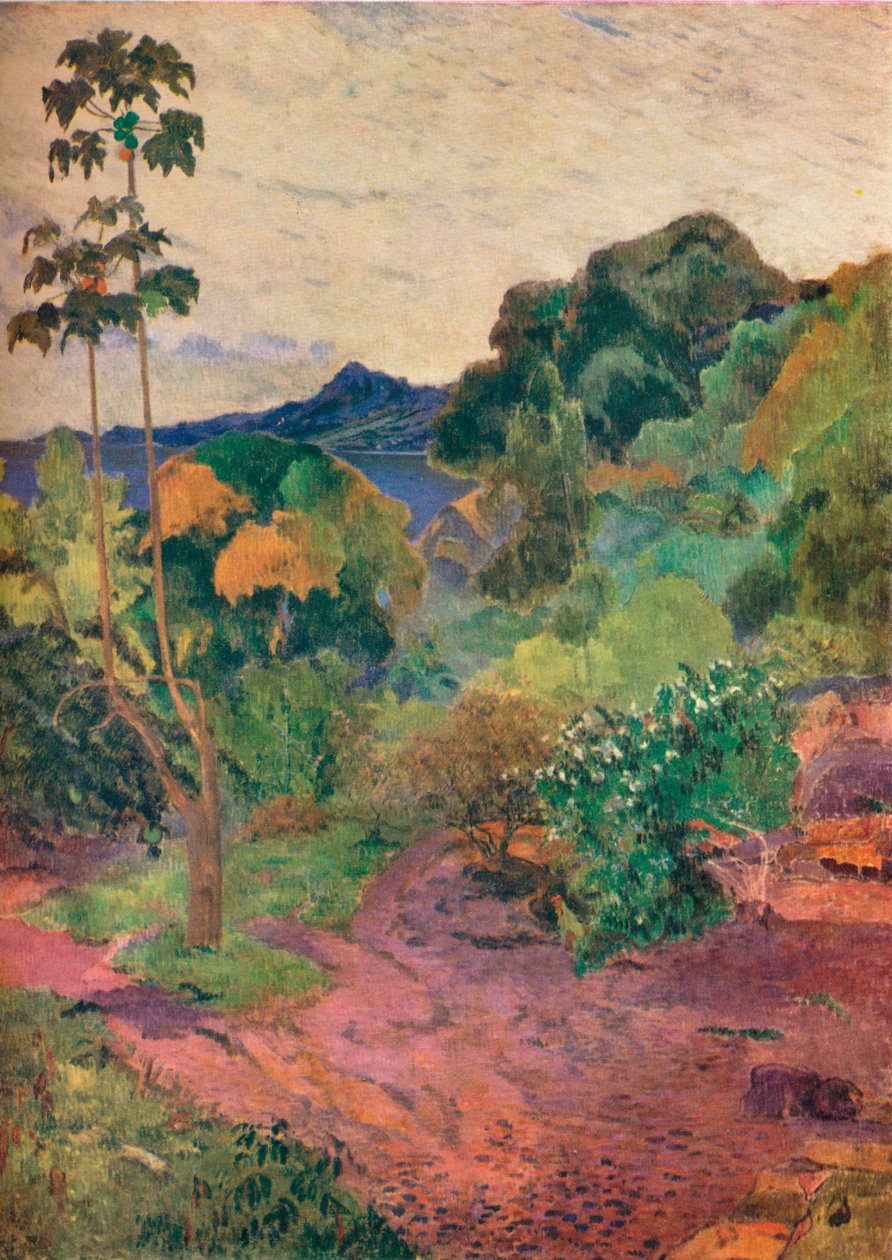 Landschaft von Martinique, 1887 von Paul Gauguin: Kunstdruck